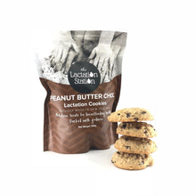 Load image into Gallery viewer, HaakaaPeanut Butter Choc Lactation Cookies - Haakaa Taiwan